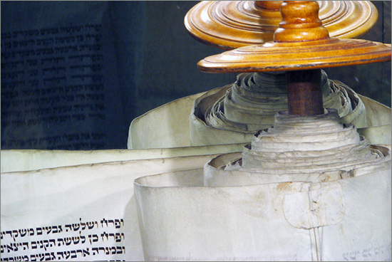 torah_550.jpg